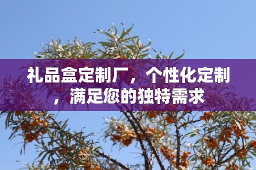 礼品盒定制厂，个性化定制，满足您的独特需求